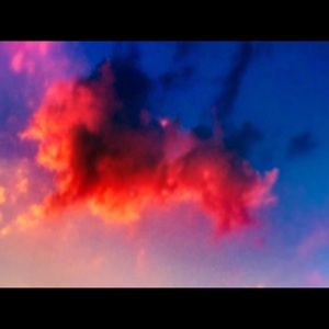 Meet your Posher, Marley